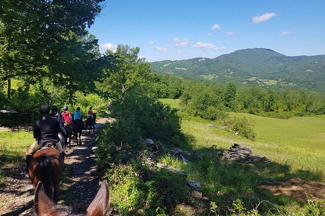 horse-riding-in-tuscany-for-experienced-riders-full-day-trail-ride-2