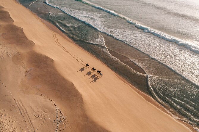 horse-riding-on-the-beach-with-private-transfer-from-lisbon