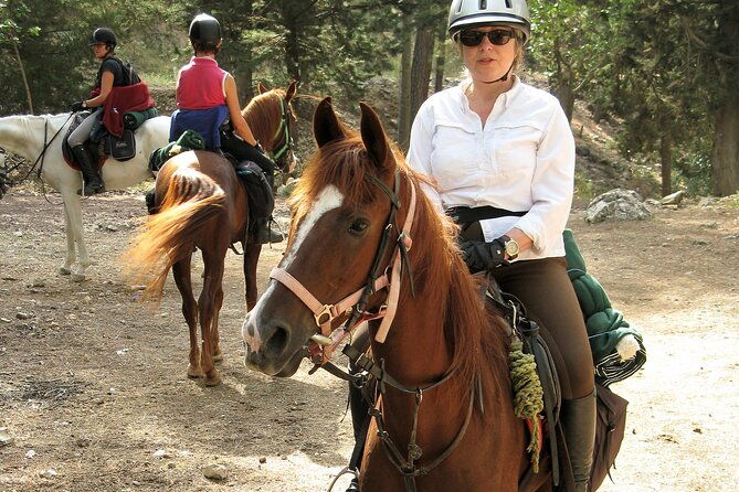 horse-riding-tour-in-bodrum-with-hotel-pick-up