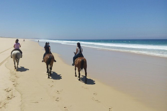 horse-riding-tour-on-the-beach-lisbon-region
