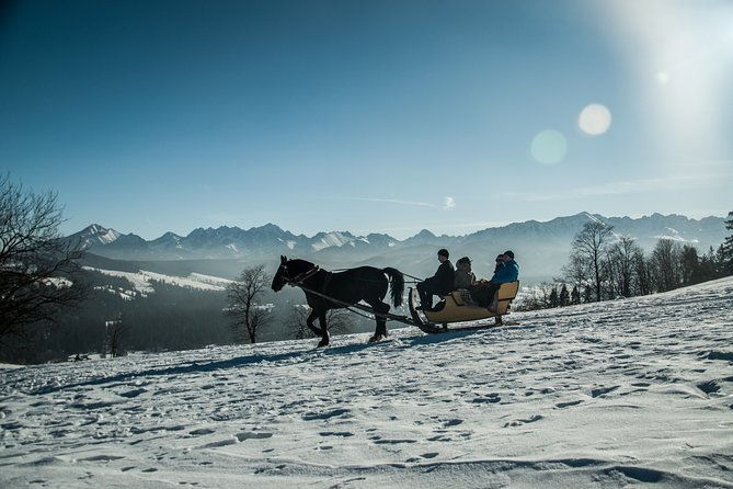 horse-sleigh-ride-in-the-polish-countryside-private-tour-from-krakow