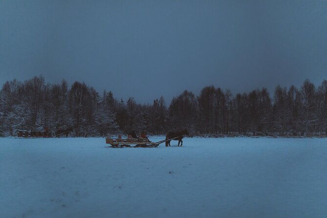 horse-sleigh-ride-under-the-night-sky-in-apukka-resort-rovaniemi