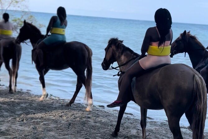 horseback-ride-swim-guided-tour-from-montego-bay-with-pickup