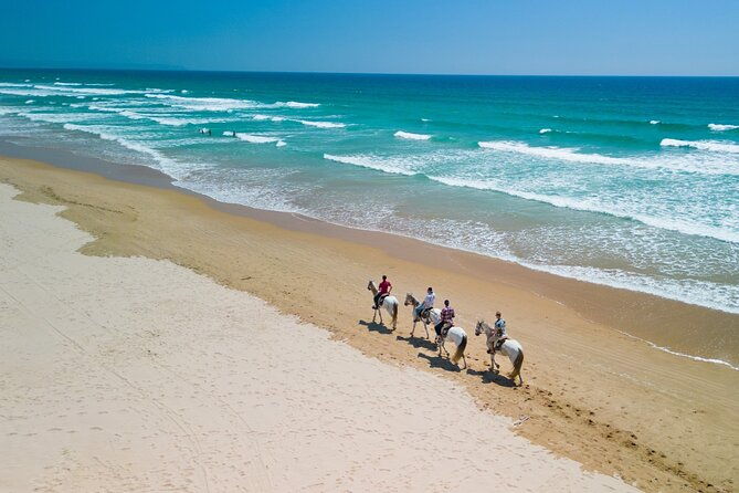horseback-riding-4-options-mountain-lesson-ring-beach-2hours