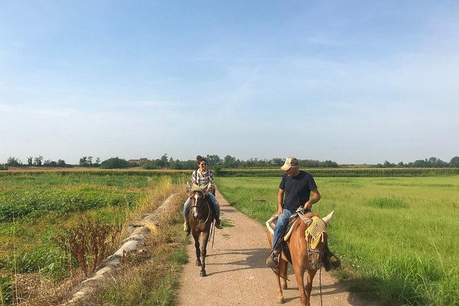 horseback-riding-and-wine-tasting