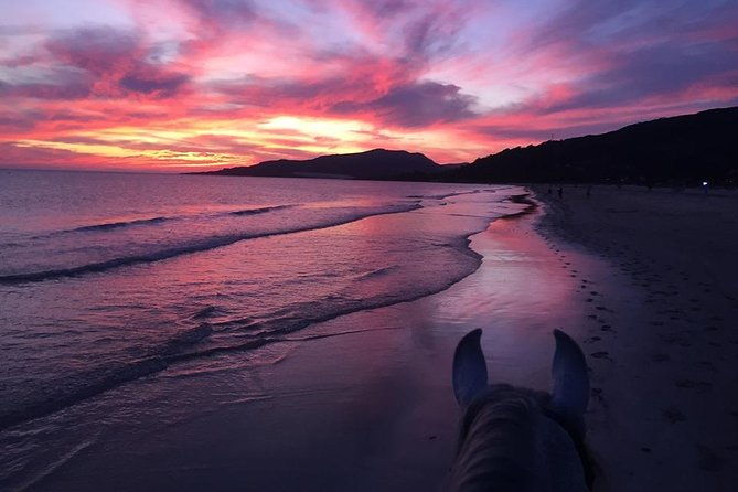 horseback-riding-by-the-beach-or-mountain-in-tarifa-spain-1-to-2-hrs