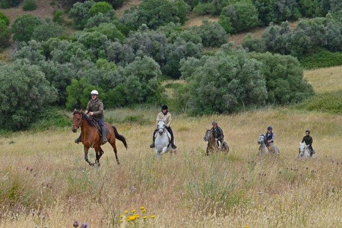 horseback-riding-in-lisbon-arrabida-louro-trail-mountain-5-6-hours