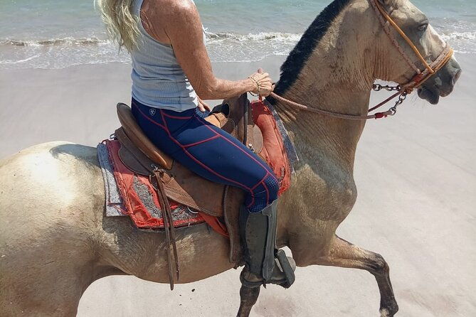 horseback-riding-on-the-beach-and-trails-2-hours