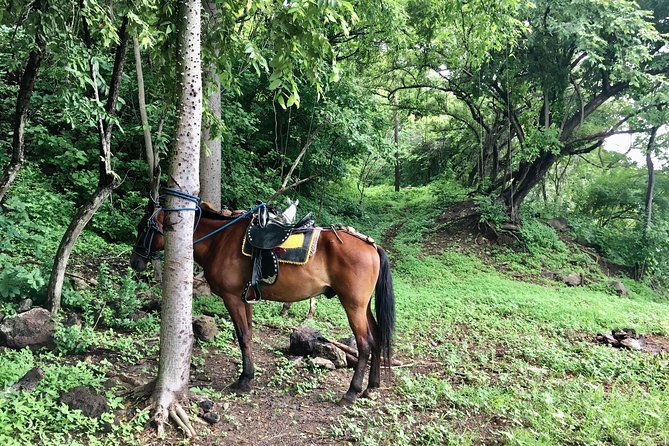 horseback-riding-private-tour
