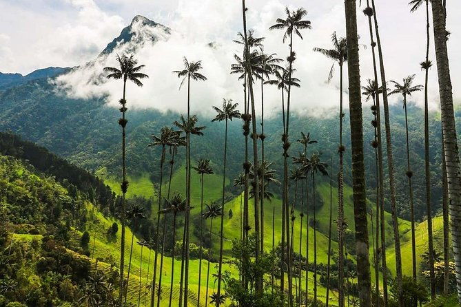 horseback-riding-to-the-viewpoints-and-the-sestillal-waterfall-in-salento