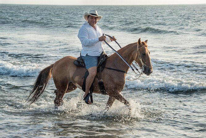 horseback-riding-tour-in-a-colombian-paso-fino-horse