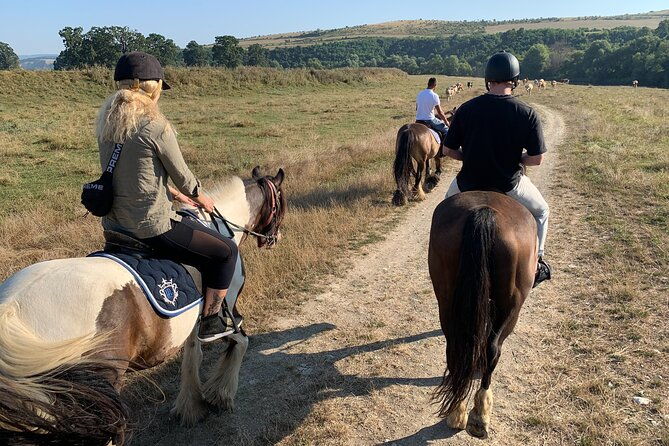 horseback-riding-tour-in-brasov-ride-through-fields-forests-hills