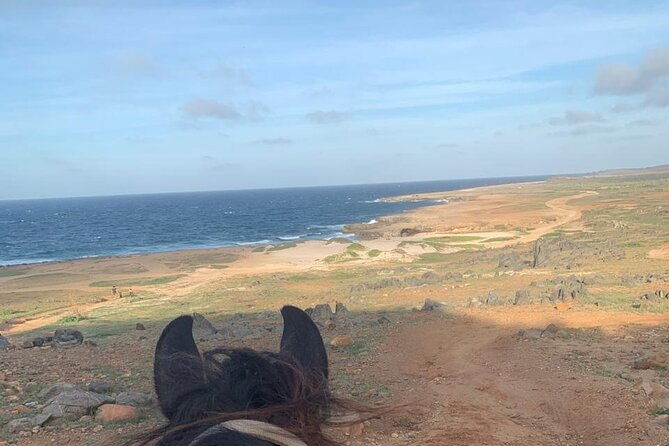 horseback-riding-wariruri-beach-tour-in-aruba