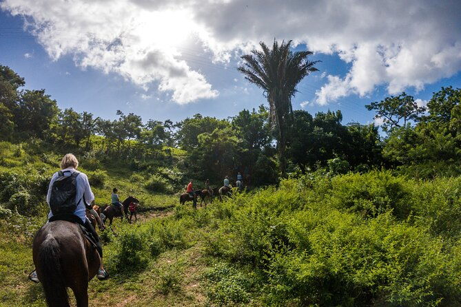 horseback-riding-west-end-choco-factory-west-bay-day-pass-paradise-beach