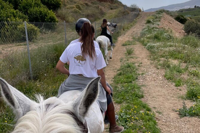 horseback-riding-with-certified-guide