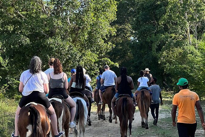 horseback-special-negrils-beach-ride-n-swim-with-free-photos-videos