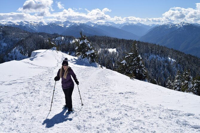 hurricane-ridge-guided-snowshoe-tour-in-olympic-national-park-2