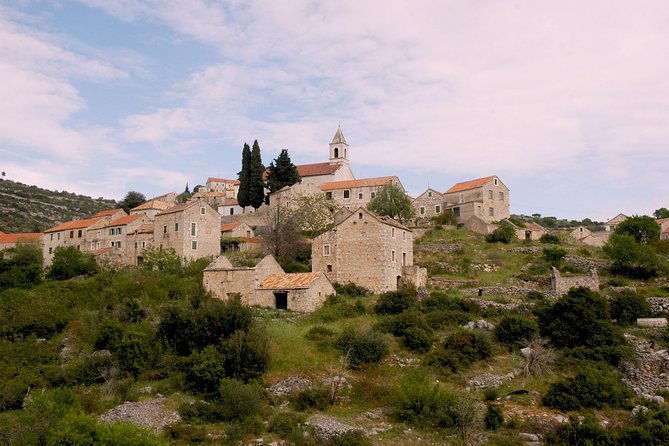 hvar-lavender-tour-2