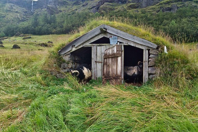 icelands-south-coast-g-spots