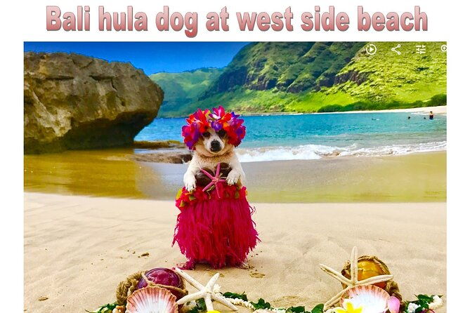 incredible-west-side-hidden-gems-please-contact-before-booking