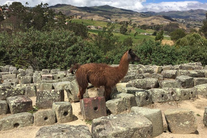 ingapirca-inca-ruins-cultural-day-trip-from-cuenca