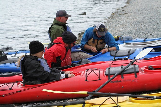 inside-passage-sea-kayaking-from-skagway