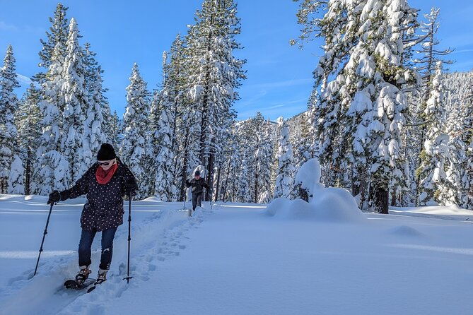 introductory-snowshoe-shared-experience