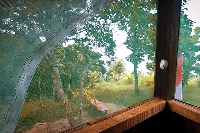 iquitos-in-the-jungle-2-days-1-night
