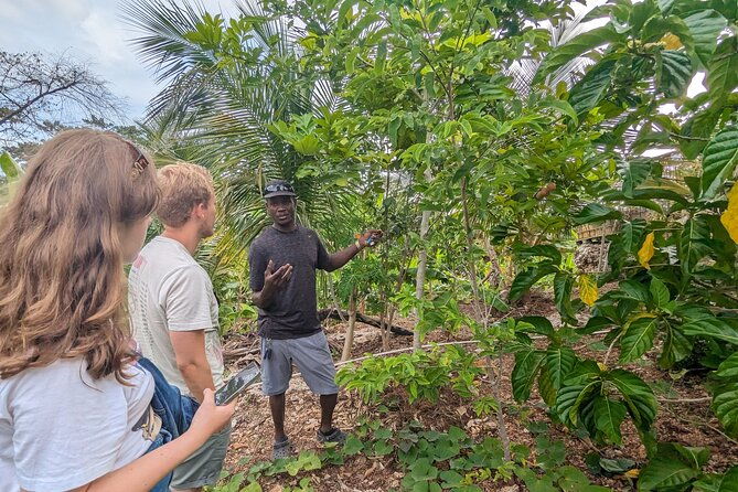 jamaican-roots-tropical-farm-tour-taste-explore-negril-2hr
