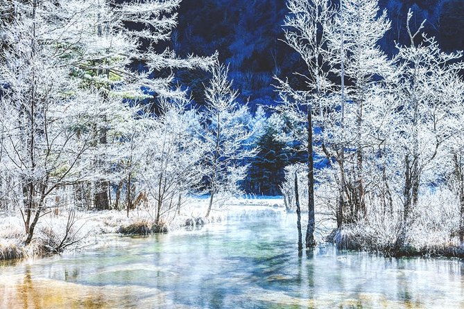 japan-alps-kamikochi-day-hike-with-government-licensed-guide