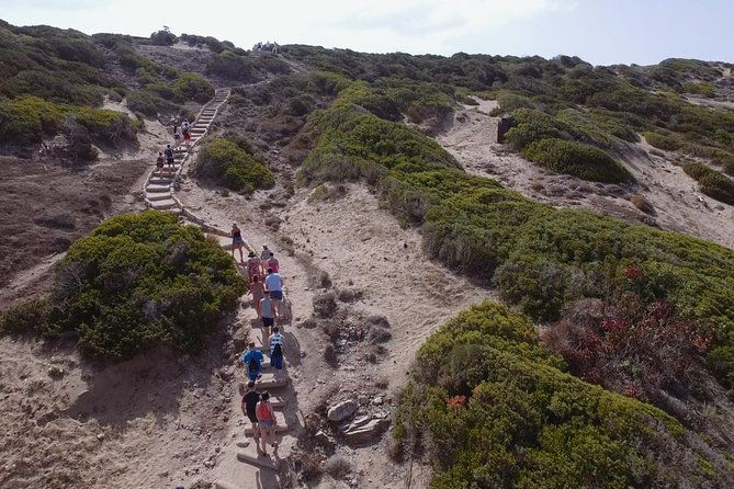 jeep-safari-akamas-from-paphos