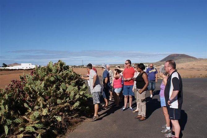 jeep-tour-to-cotillo-and-northern-area-of-fuerteventura