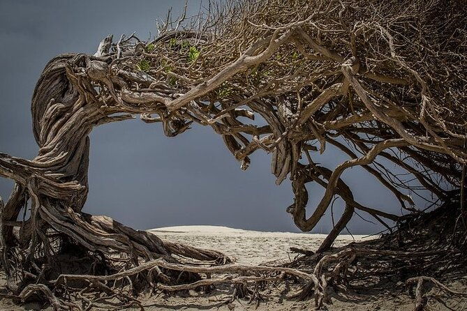 jericoacoara-tour-in-1-day