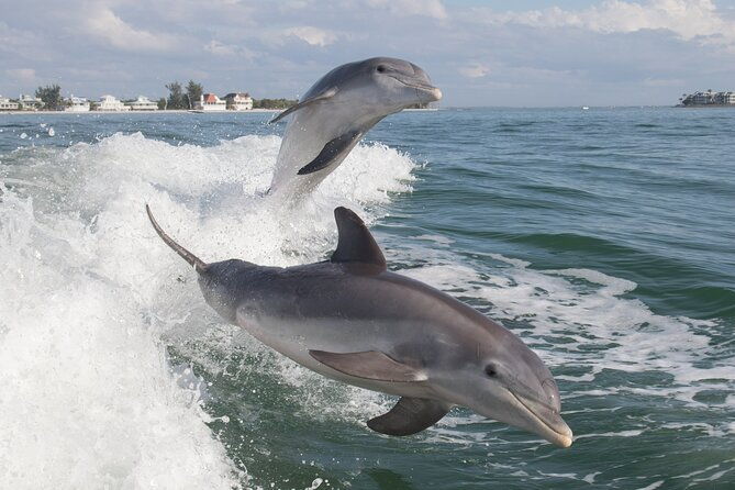 jet-ski-rental-from-fort-myers-beach-to-sanibel-2