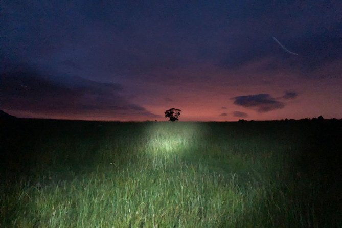 join-the-dark-side-of-magical-nature
