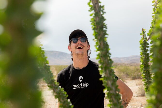 joshua-tree-full-day-private-tour-and-hike