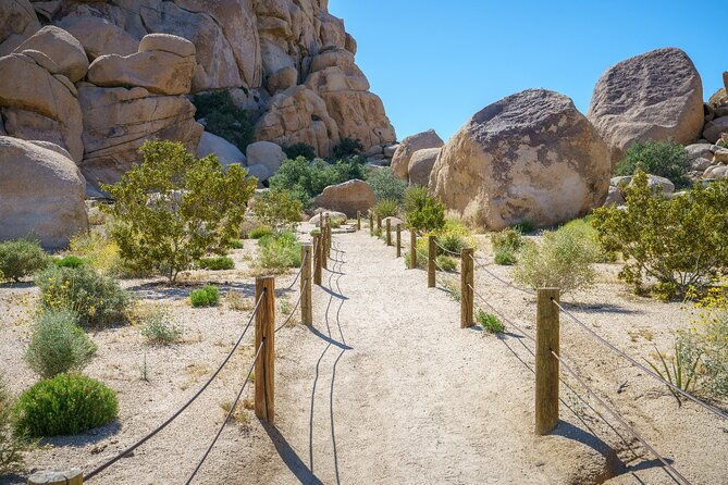 joshua-trees-hidden-valley-self-guided-walking-tour