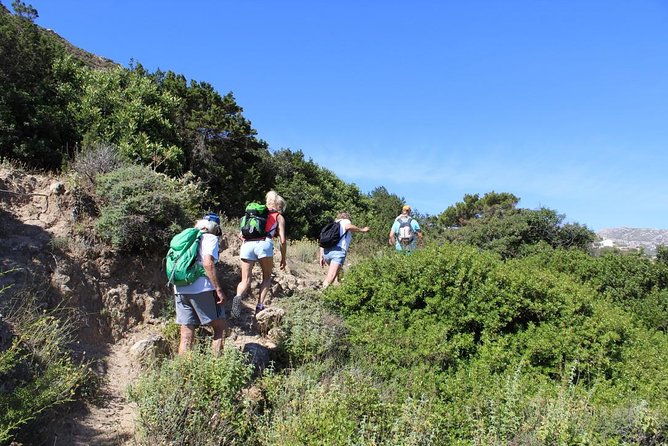 karpathos-valley-walk-in-pigadia-easy-guided-walking-tour