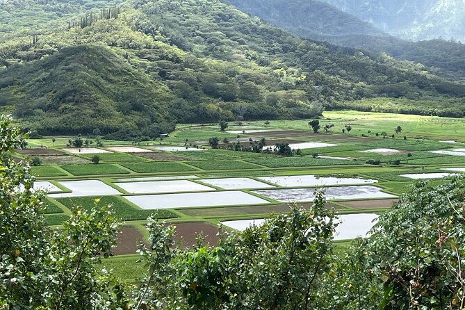 kauai-island-private-guided-movie-tour-from-lihue