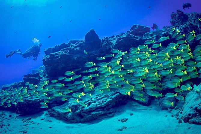 kauais-ultimate-boat-2-tank-adventure-dive-certified-divers-only
