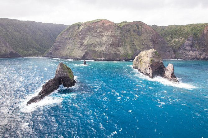 kawaihae-whale-watch