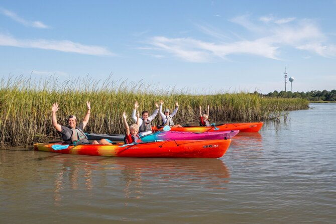 kayak-activity-and-sightseeing-in-dolphin-safari