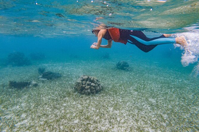 kayak-and-snorkeling-adventures-in-west-end