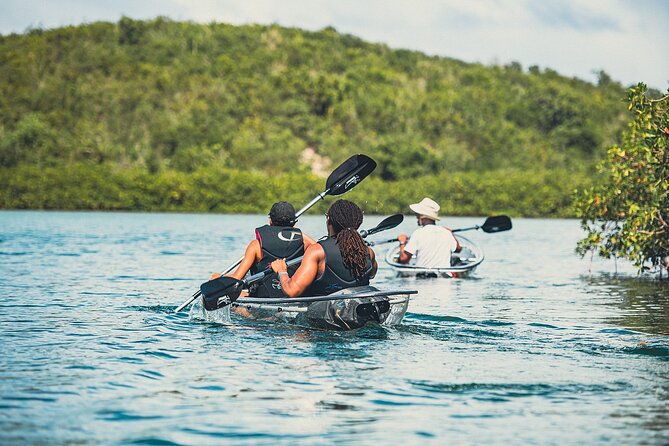 kayak-eco-adventures-glass-kayak-nature-and-snorkeling-tour