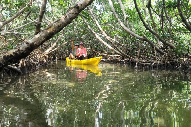 kayak-through-mangrove-forests-in-the-florida-keys