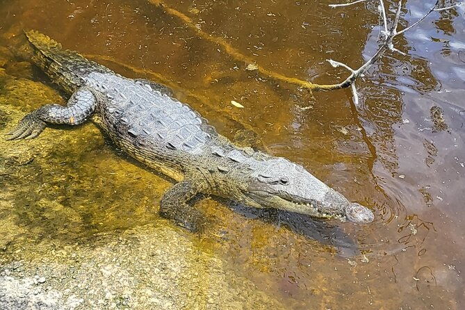 kayak-trip-1-wet-hike-2-dry-hikes-in-everglades-national-park