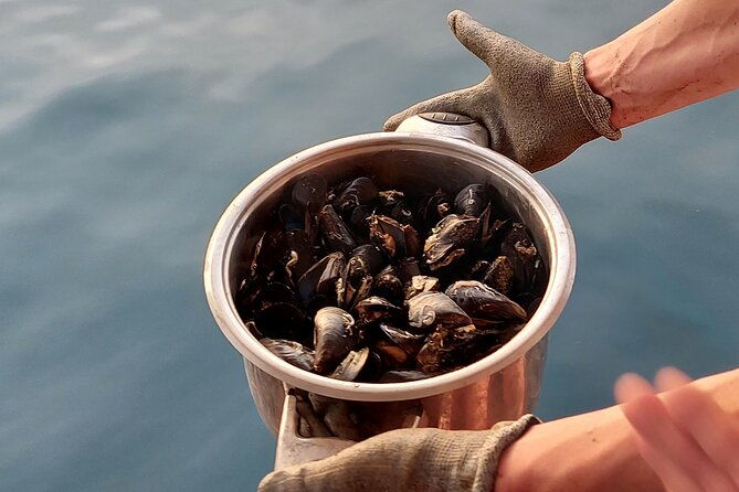 kayaking-and-mussels-tasting-at-krka-river-estuary-private-tours