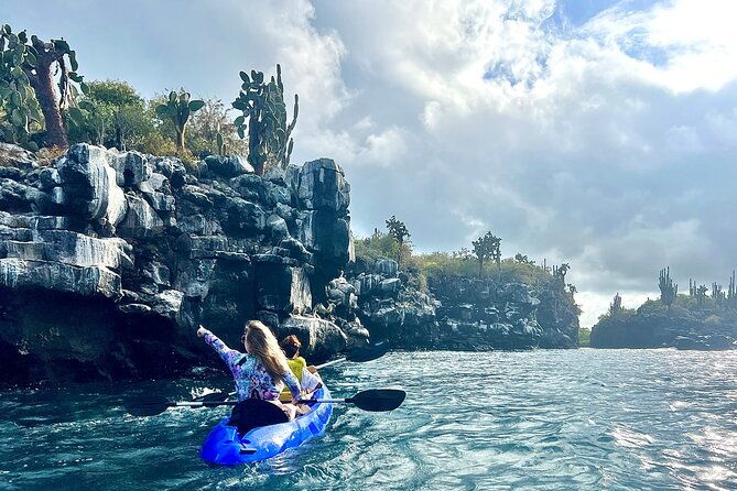 kayaking-experience-in-franklin-bay