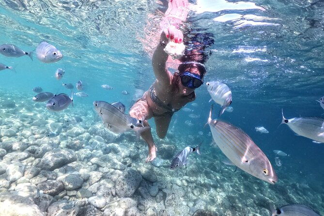 kayaking-to-island-saint-jerolim-with-snorkeling-activitie