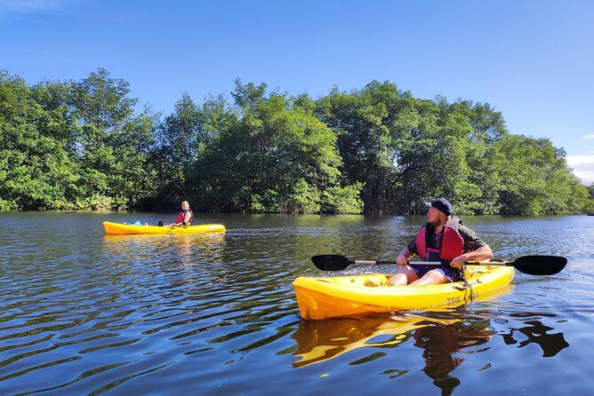 kayaking-tour-in-gandoca-lagoon-throug-mangrove-forest